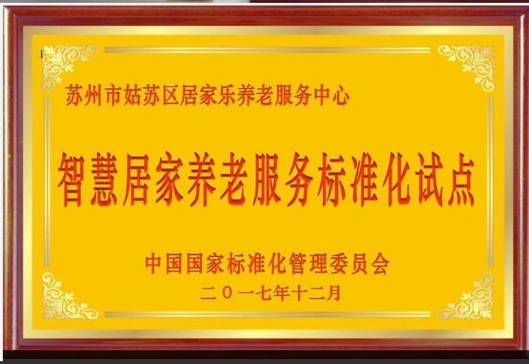 智慧居家养老服务标准化试点